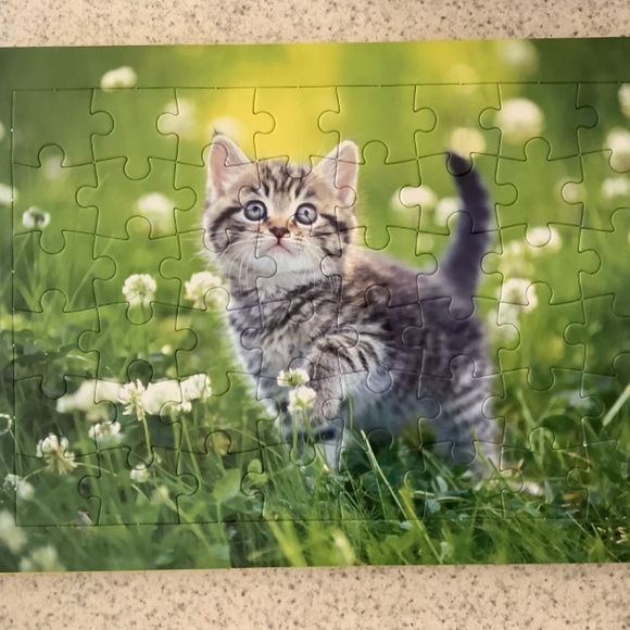 Totally Kittens Jigsaw Puzzle Book - Picture 4 of 8
